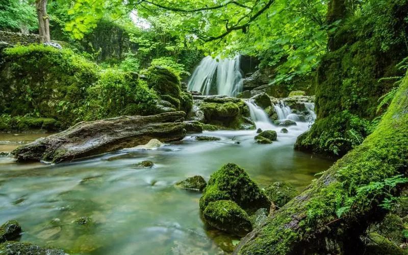 可靠性稳定性高效